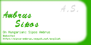 ambrus sipos business card